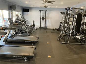 A gym with treadmills, weights, and a ceiling fan.